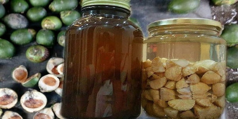 Rượu cau có khả năng sát khuẩn và tăng sức khỏe cho gà chọi